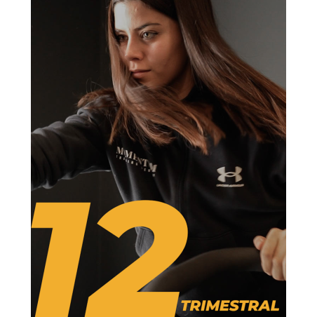 INDIVIDUAL X12 TRIMESTRAL