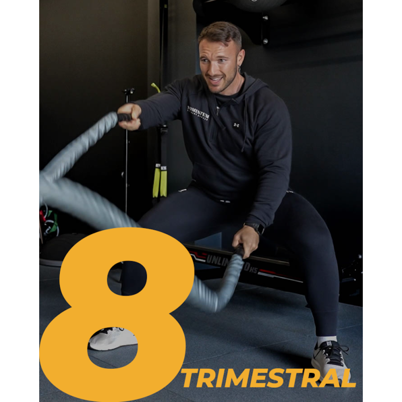 GRUPAL X8 TRIMESTRAL